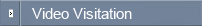 Video Vistation